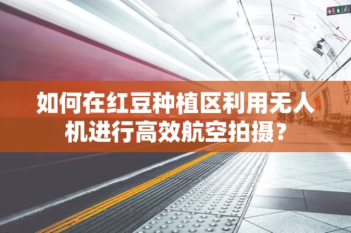 如何在红豆种植区利用无人机进行高效航空拍摄？