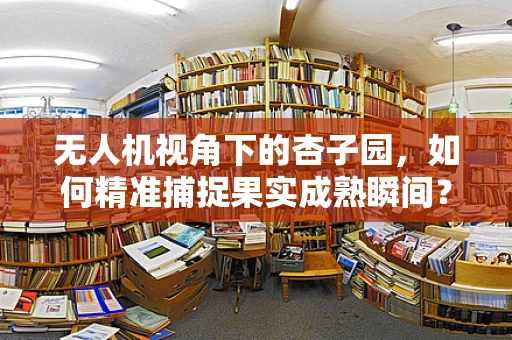 无人机视角下的杏子园，如何精准捕捉果实成熟瞬间？