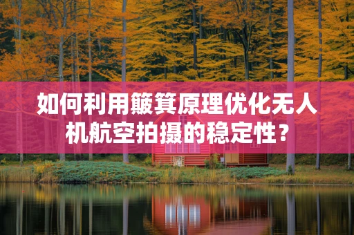 如何利用簸箕原理优化无人机航空拍摄的稳定性？