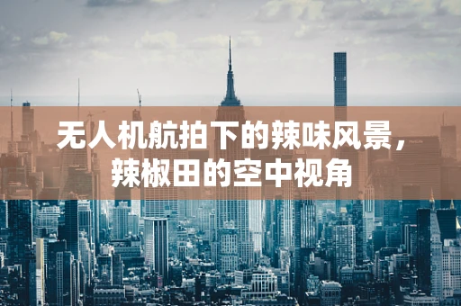 无人机航拍下的辣味风景，辣椒田的空中视角