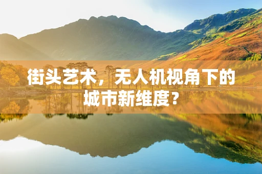 街头艺术，无人机视角下的城市新维度？
