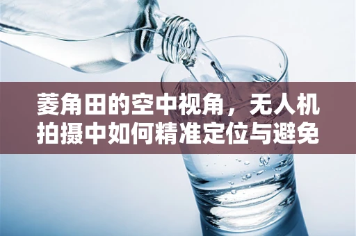 菱角田的空中视角，无人机拍摄中如何精准定位与避免作物损害？