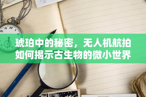 琥珀中的秘密，无人机航拍如何揭示古生物的微小世界？