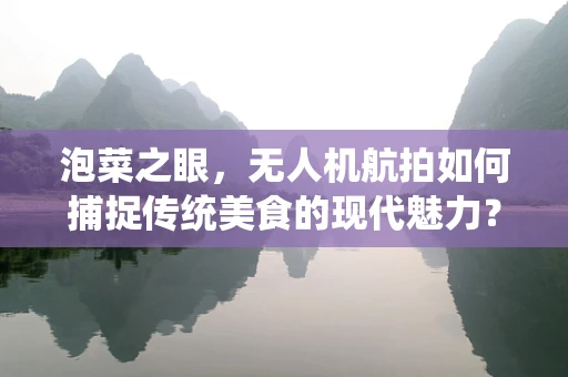 泡菜之眼，无人机航拍如何捕捉传统美食的现代魅力？