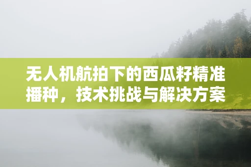 无人机航拍下的西瓜籽精准播种，技术挑战与解决方案？