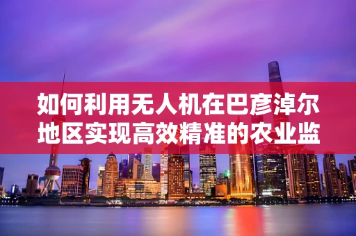 如何利用无人机在巴彦淖尔地区实现高效精准的农业监测？