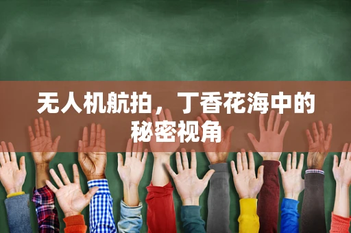 无人机航拍，丁香花海中的秘密视角