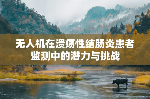 无人机在溃疡性结肠炎患者监测中的潜力与挑战