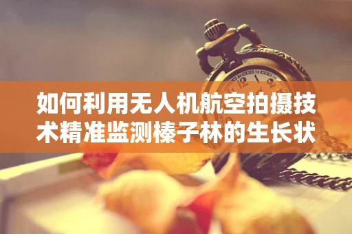 如何利用无人机航空拍摄技术精准监测榛子林的生长状况？