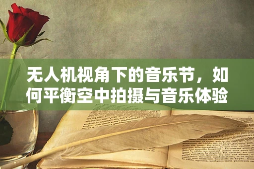 无人机视角下的音乐节，如何平衡空中拍摄与音乐体验的和谐？