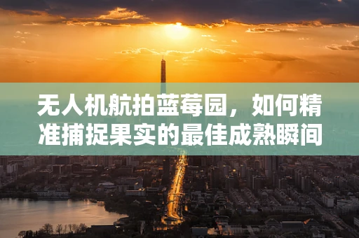 无人机航拍蓝莓园，如何精准捕捉果实的最佳成熟瞬间？