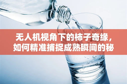无人机视角下的柿子奇缘，如何精准捕捉成熟瞬间的秘密？