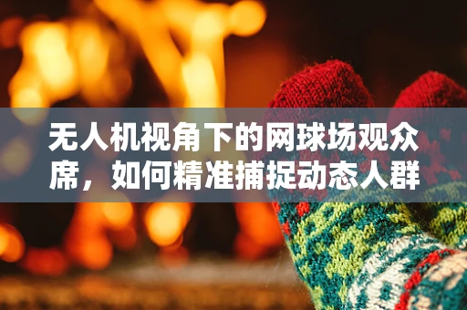 无人机视角下的网球场观众席，如何精准捕捉动态人群的细节？