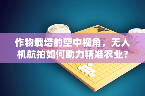 作物栽培的空中视角，无人机航拍如何助力精准农业？