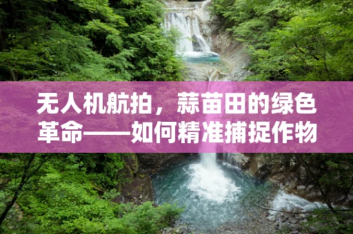 无人机航拍，蒜苗田的绿色革命——如何精准捕捉作物生长的微妙变化？