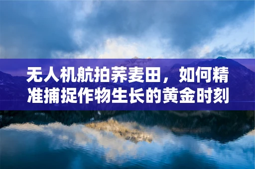 无人机航拍荞麦田，如何精准捕捉作物生长的黄金时刻？