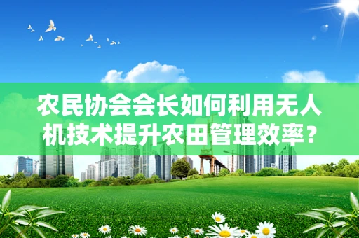 农民协会会长如何利用无人机技术提升农田管理效率？