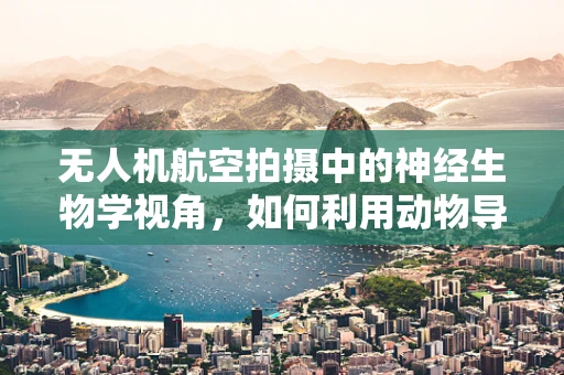 无人机航空拍摄中的神经生物学视角，如何利用动物导航机制优化飞行路径？