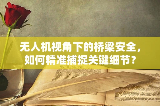 无人机视角下的桥梁安全，如何精准捕捉关键细节？