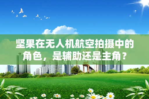 坚果在无人机航空拍摄中的角色，是辅助还是主角？