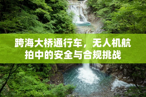 跨海大桥通行车，无人机航拍中的安全与合规挑战