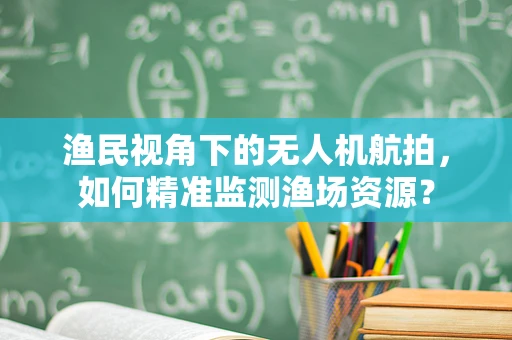 渔民视角下的无人机航拍，如何精准监测渔场资源？