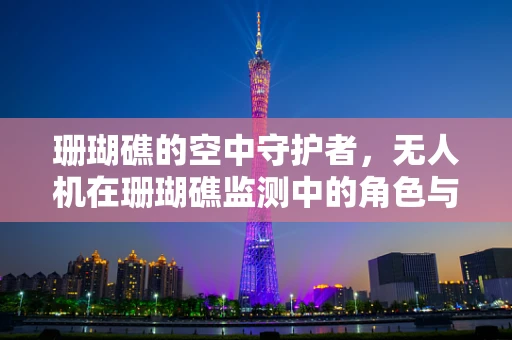 珊瑚礁的空中守护者，无人机在珊瑚礁监测中的角色与挑战