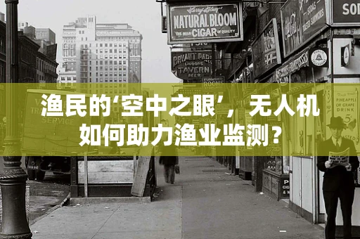 渔民的‘空中之眼’，无人机如何助力渔业监测？