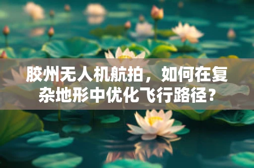 胶州无人机航拍，如何在复杂地形中优化飞行路径？