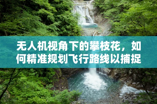 无人机视角下的攀枝花，如何精准规划飞行路线以捕捉最佳城市景观？
