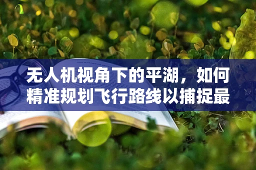无人机视角下的平湖，如何精准规划飞行路线以捕捉最佳景观？