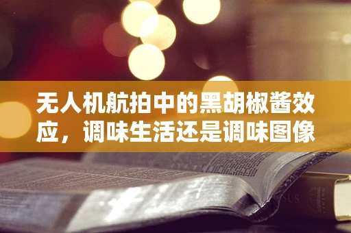 无人机航拍中的黑胡椒酱效应，调味生活还是调味图像？