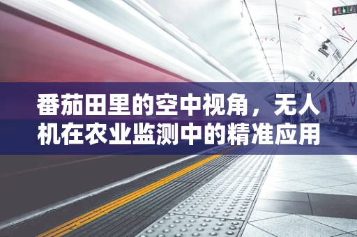 番茄田里的空中视角，无人机在农业监测中的精准应用