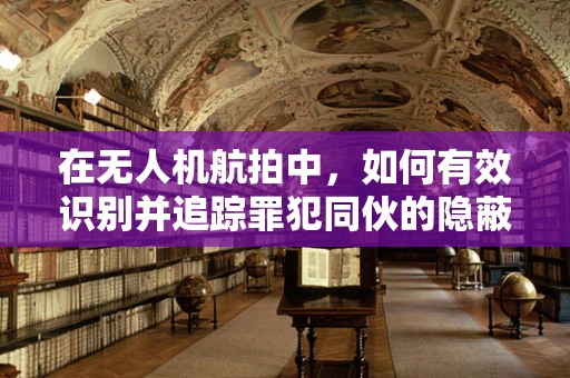 在无人机航拍中，如何有效识别并追踪罪犯同伙的隐蔽行动？