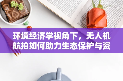 环境经济学视角下，无人机航拍如何助力生态保护与资源优化？