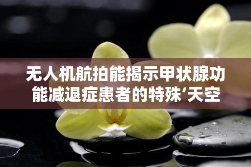 无人机航拍能揭示甲状腺功能减退症患者的特殊‘天空’线索吗？