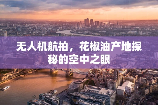 无人机航拍，花椒油产地探秘的空中之眼