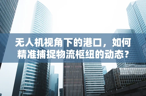 无人机视角下的港口，如何精准捕捉物流枢纽的动态？