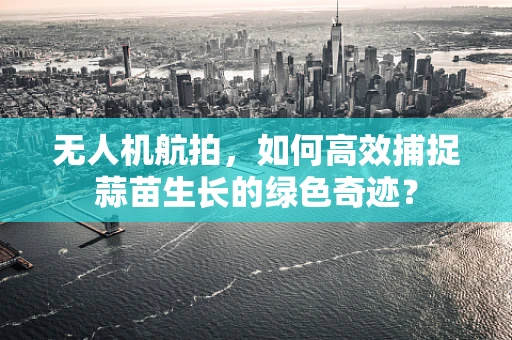 无人机航拍，如何高效捕捉蒜苗生长的绿色奇迹？