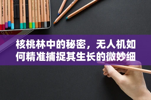核桃林中的秘密，无人机如何精准捕捉其生长的微妙细节？