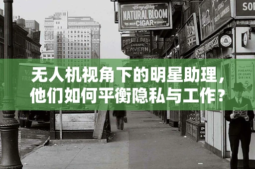 无人机视角下的明星助理，他们如何平衡隐私与工作？
