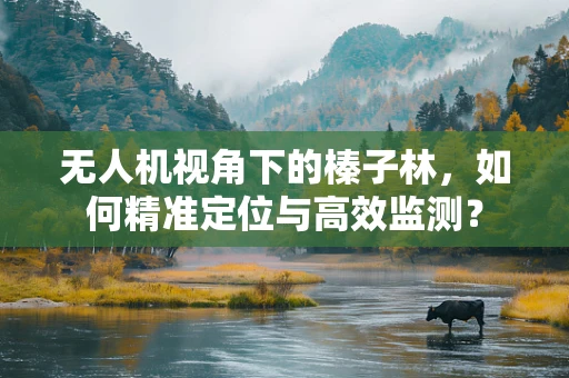 无人机视角下的榛子林，如何精准定位与高效监测？