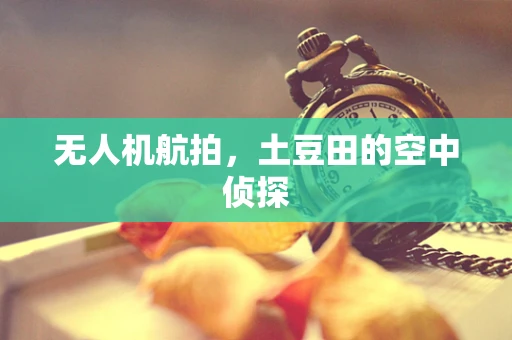 无人机航拍，土豆田的空中侦探