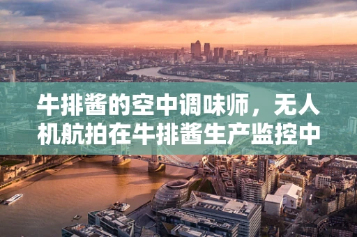 牛排酱的空中调味师，无人机航拍在牛排酱生产监控中的应用潜力？