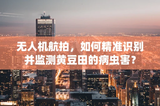 无人机航拍，如何精准识别并监测黄豆田的病虫害？