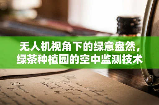 无人机视角下的绿意盎然，绿茶种植园的空中监测技术探讨