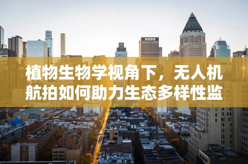 植物生物学视角下，无人机航拍如何助力生态多样性监测？
