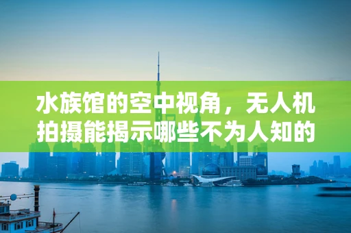 水族馆的空中视角，无人机拍摄能揭示哪些不为人知的秘密？