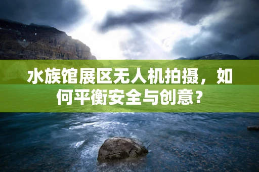 水族馆展区无人机拍摄，如何平衡安全与创意？