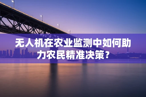 无人机在农业监测中如何助力农民精准决策？